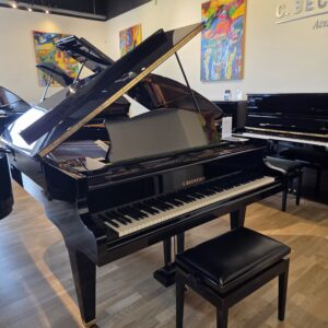 C. Bechstein model M