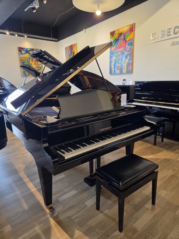 C. Bechstein model M